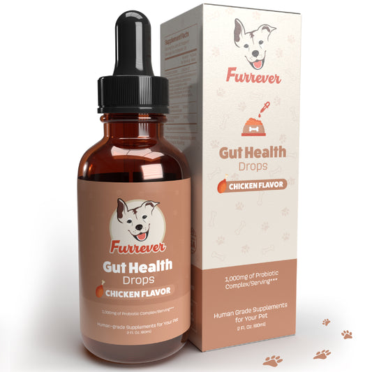 Gut Health Tincture